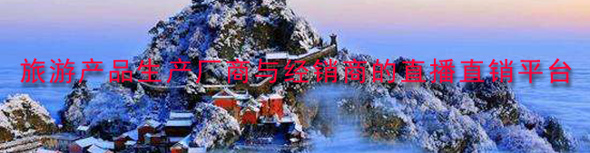 旅游产品生产厂商与经销商的直播直销平台